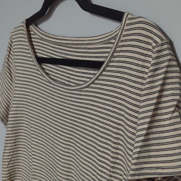 Ann Taylor Factory Tan and Black Striped Short Sleeve Shirt - Picture 2 of 4